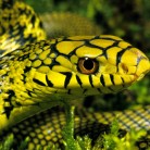 Slide 2 - Pakawi Park