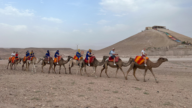 Marrakech activiteiten kamelen