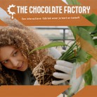 The Chocolate factory - Slide 2