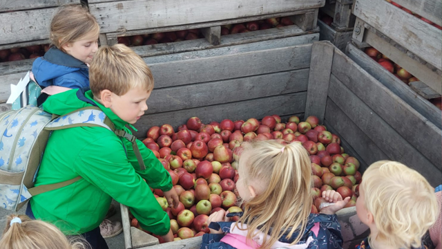 Hoeve op den Mierhoop Appels
