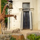 Slide 1 - ZOO Antwerpen