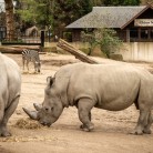 Slide 3 - ZOO Antwerpen