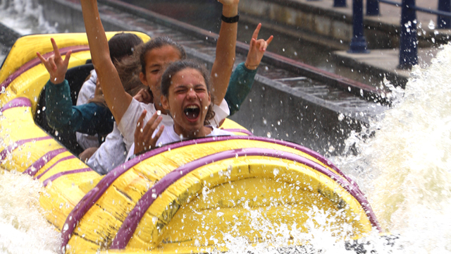 Walibi Belgium boomstam