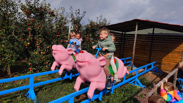 Hoeve op den Mierhoop Varkens