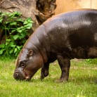 Slide 3 - ZOO Antwerpen