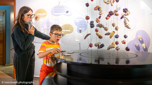 Frietmuseum Brugge Educatievetour