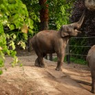 Slide 2 - ZOO Antwerpen