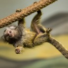 Slide 1 - Pakawi Park