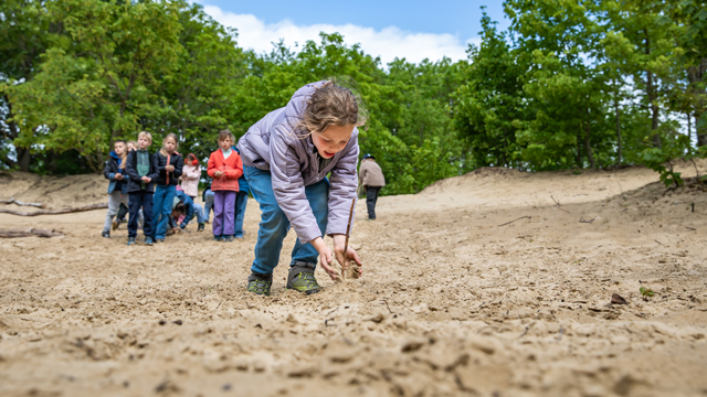 Duinpanne duinen v2