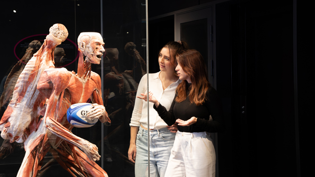 Body Worlds Amsterdam rugby