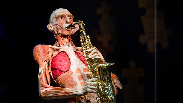 Body Worlds saxofoon v2