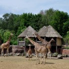Slide 3 - GaiaZOO Kerkrade