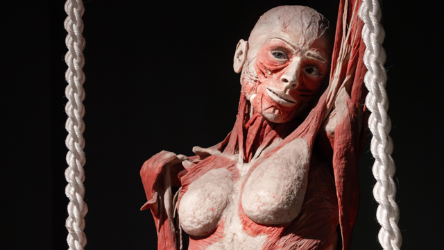 Body Worlds Amsterdam vrouw