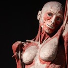 Slide 1 - BODY WORLDS Amsterdam