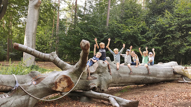 Vormingscentrum Malle Boomstam v2