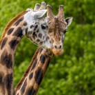 Slide 3 - Pakawi Park