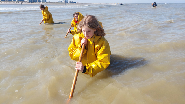 Duinpanne Garnalen vissen