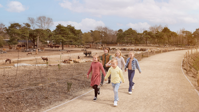 Safaripark Beeksebergen Neushoorn