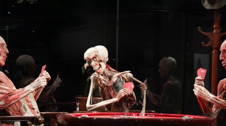 Body Worlds Header v3