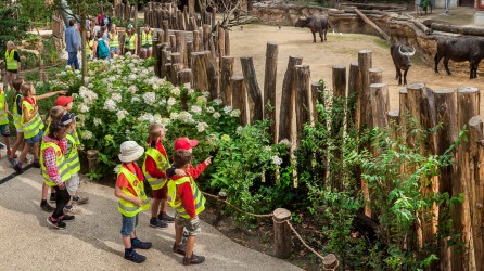 2018 10 zoo school