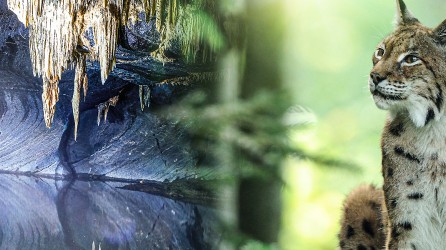 2026 02 grottenvanhan nieuwe faciliteiten